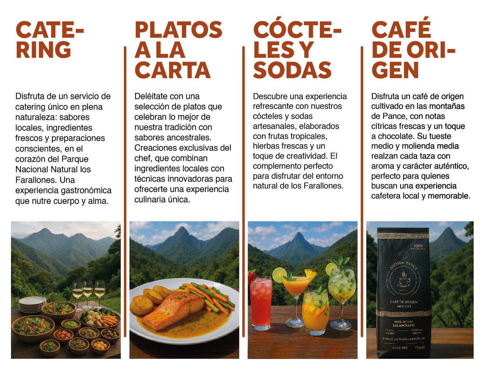 portafolio 2025-08