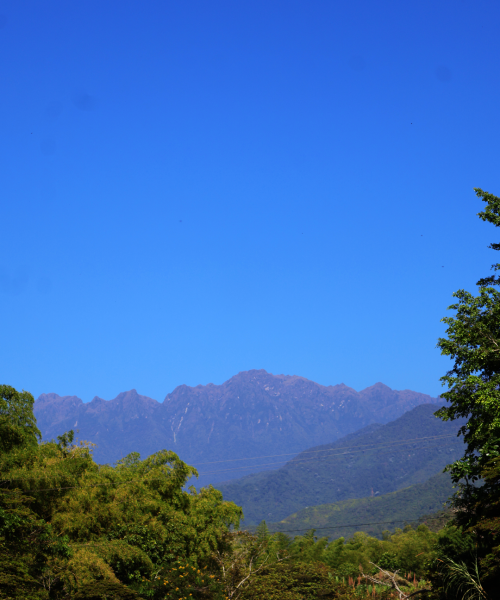 farallones foto