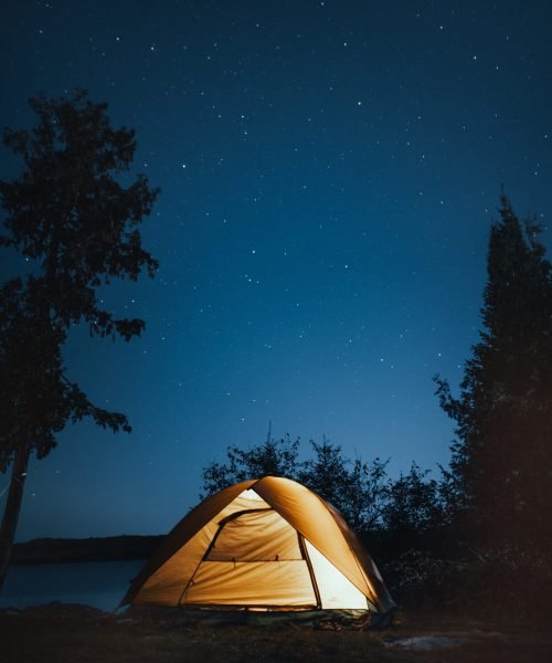 A vertical shot of a camping tent near trees during nighttime